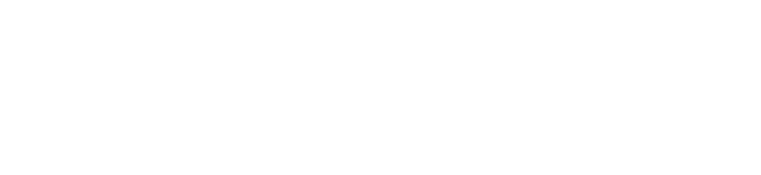 Lightspeed logo